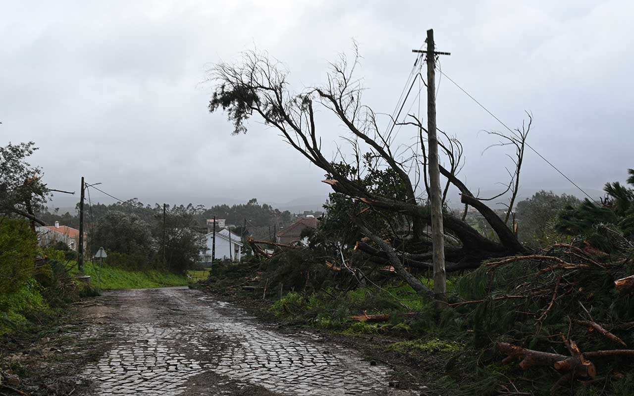 CIMRL estima prejuízos acima de mil milhões de euros nos 10 municípios