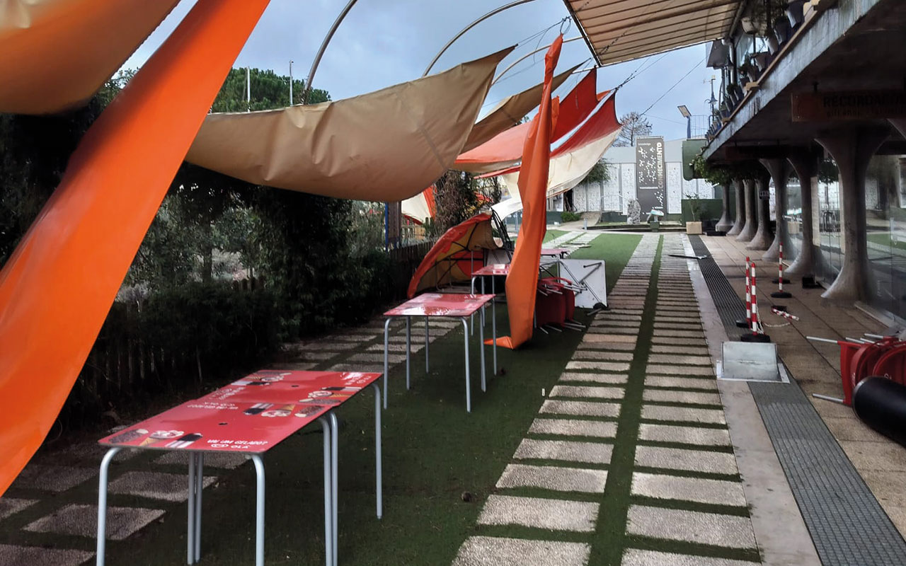 Um restaurante a céu aberto e um pinhal que “não estaremos vivos” para ver com raízes novas