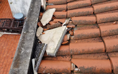 Maos a Obra Leiria depressao Kristin DR | Jornal O Portomosense