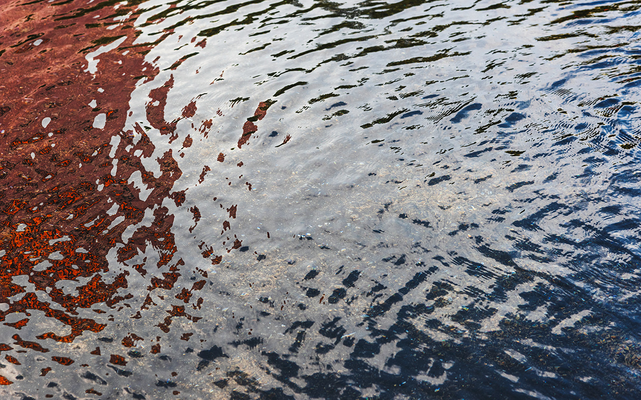 Alcobaça: Galgamento do Rio Alcoa obriga a realojar 17 pessoas