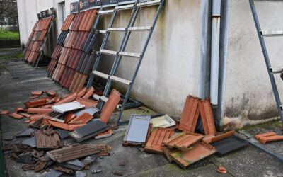 Telhas Jessica Sa | Jornal O Portomosense