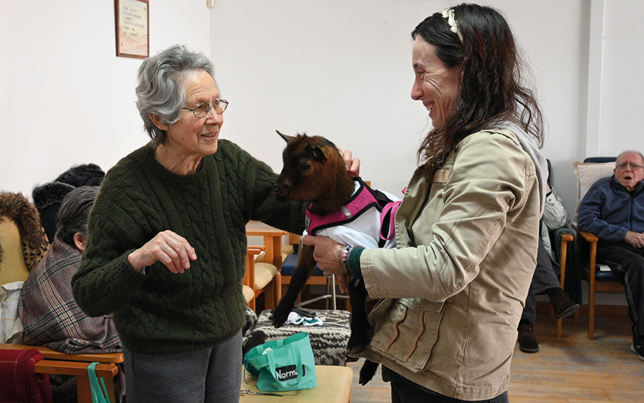 Pet Vet | Animais ajudam a “espalhar sorrisos” por crianças e idosos