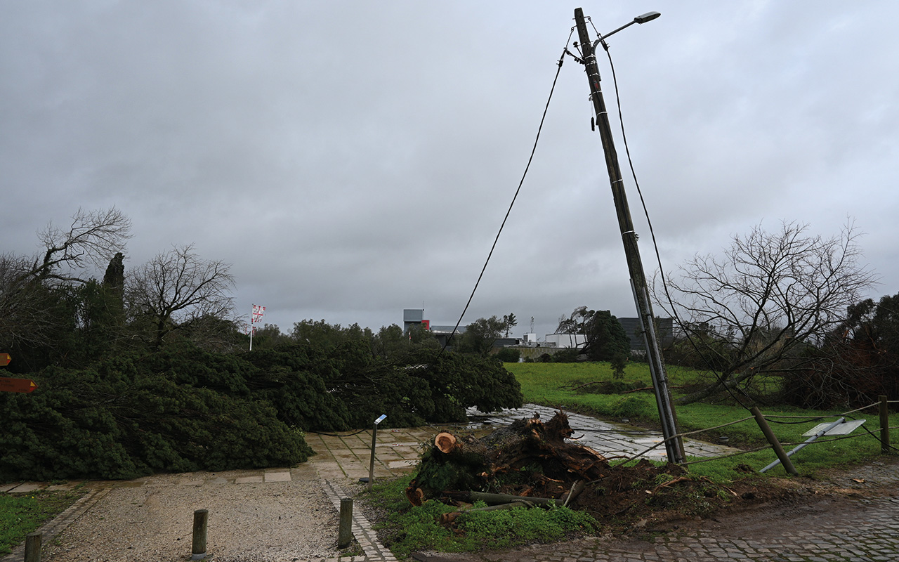 Porto de Mós regista quase 15 milhões de euros de danos com a passagem da tempestade Kristin