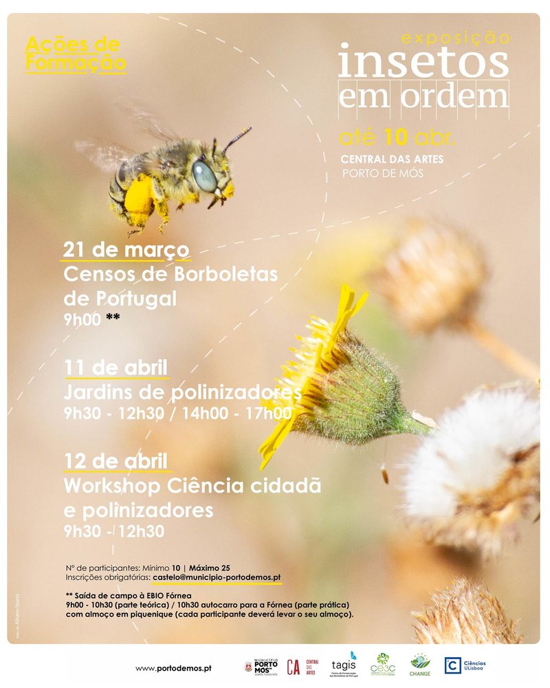 image009 1 1000 1000 | Jornal O Portomosense