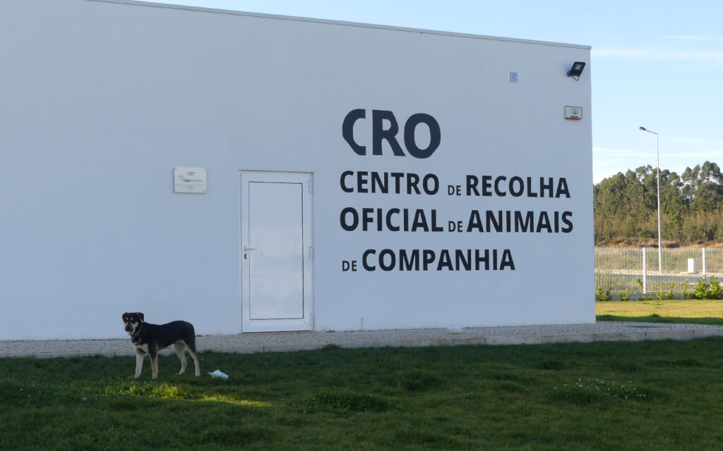 CRO Porto de Mos Jessica Silva | Jornal O Portomosense