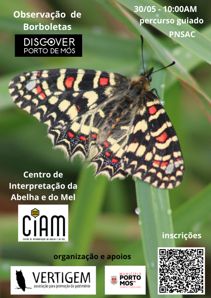 cartaz 1714 1 1000 1000 | Jornal O Portomosense