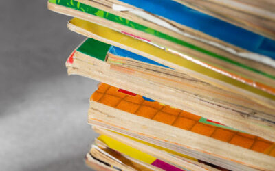 Livro Livros de Fichas DR | Jornal O Portomosense