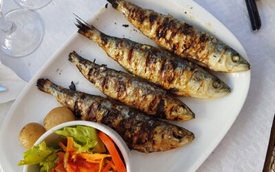 Sardinha DR 1 | Jornal O Portomosense