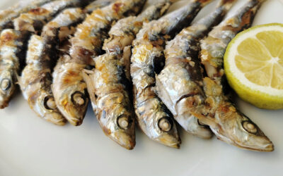 Sardinha DR | Jornal O Portomosense
