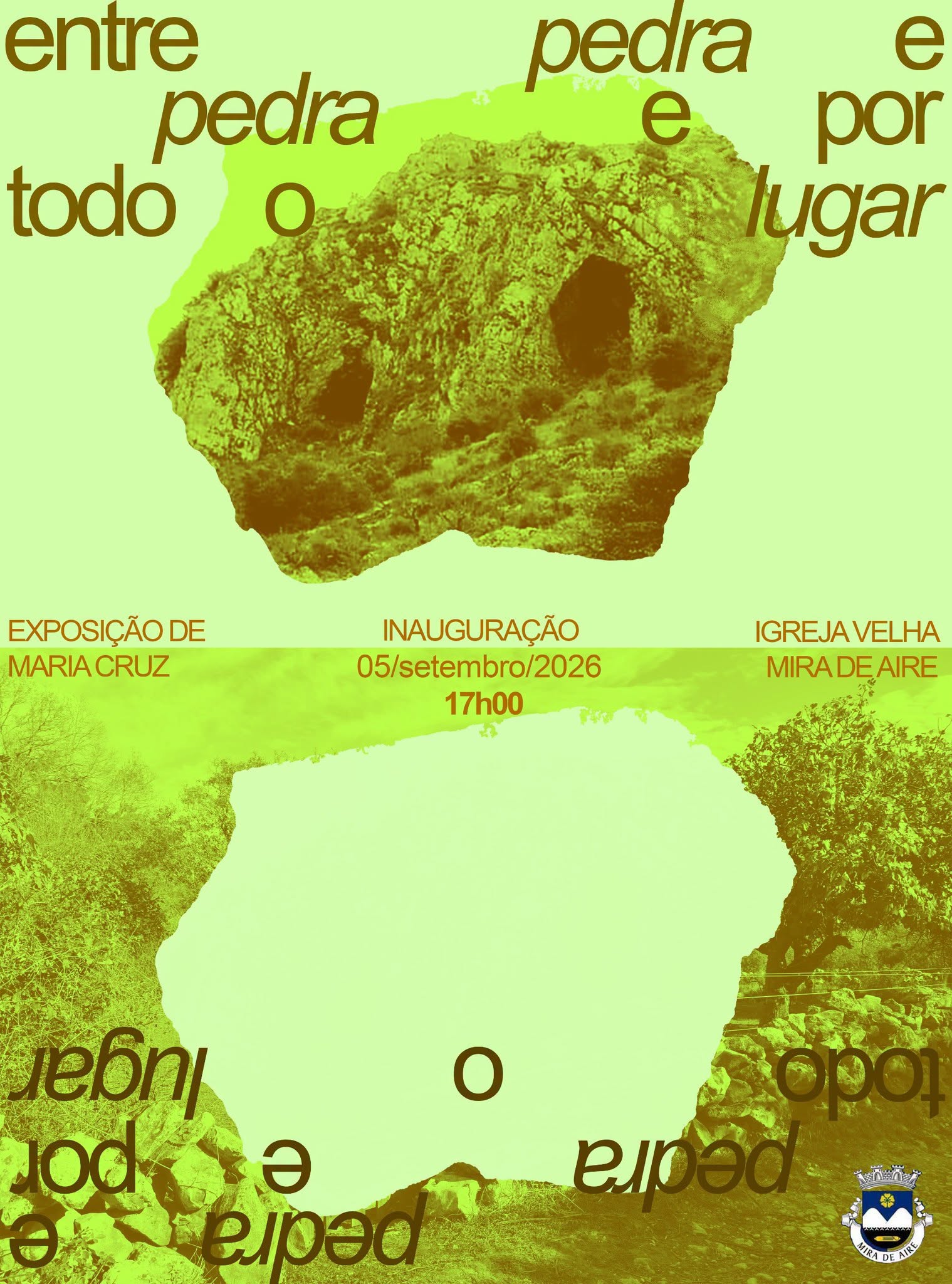 779932045 1420087989987500 8685427858796633871 n.png | Jornal O Portomosense