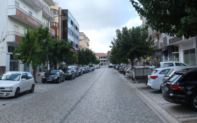 Avenida de Santo Antonio Bruno Fidalgo Sousa | Jornal O Portomosense