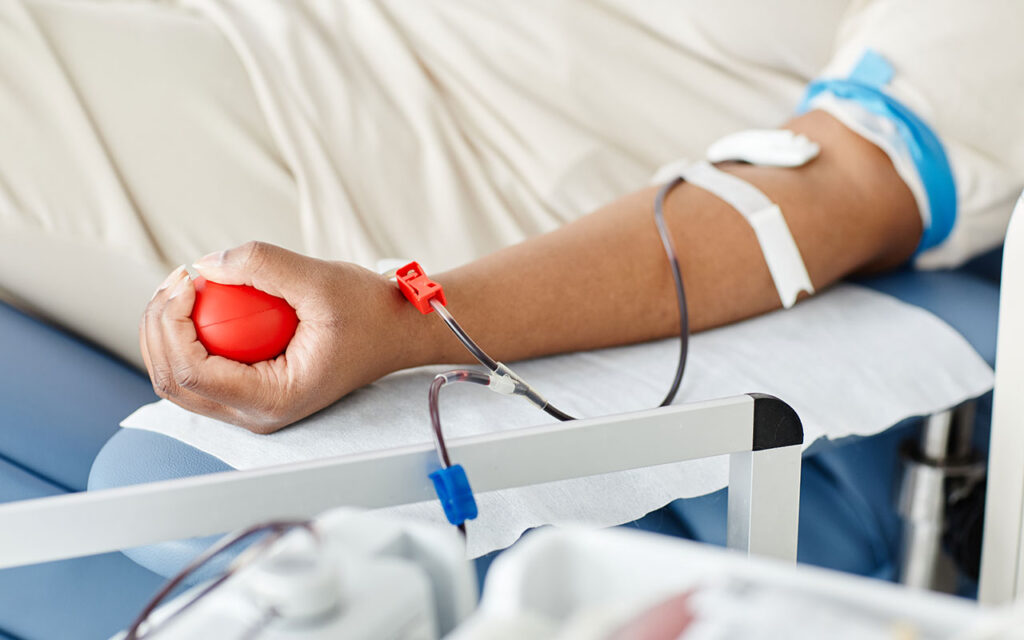 Doacao Sangue DR | Jornal O Portomosense