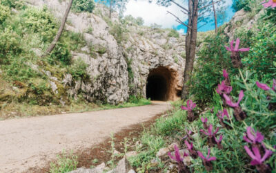 Ecopista Porto de Mos DR | Jornal O Portomosense