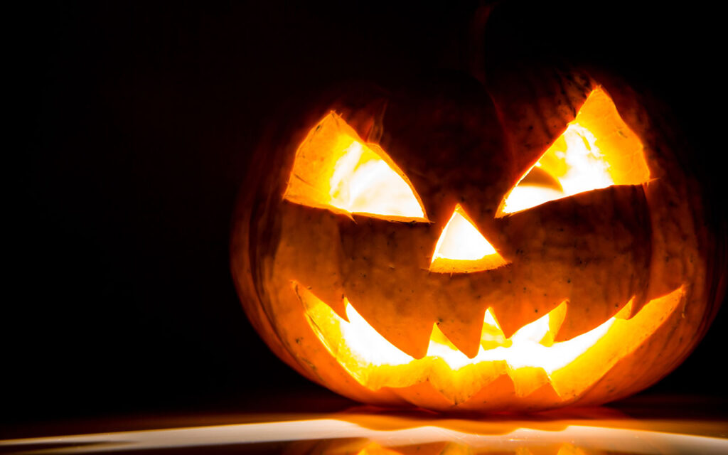 Halloween Abobora DR | Jornal O Portomosense